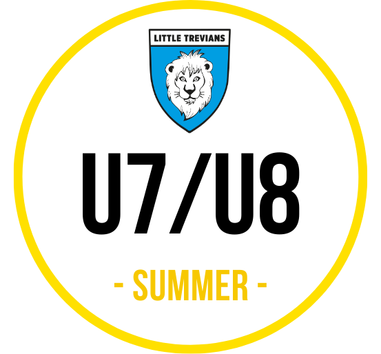 Program Logo